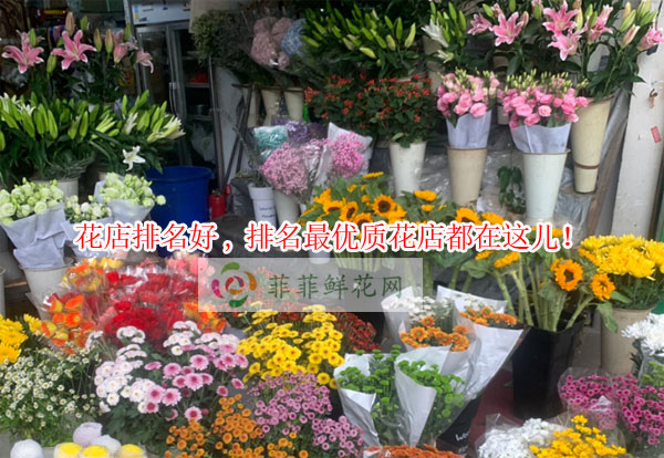 漳州漳浦县花店排名,漳州漳浦县最优质花店都在这儿!
