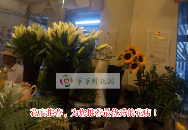 漳州漳浦县花店推荐,为您推荐漳州漳浦县最优秀的花店!